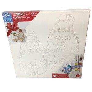 Paint by Number Kit NEW Artist's Loft PBN Owl Owls Canvas Acrylic Tubes Brushes